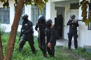 swat personnel rescue a member