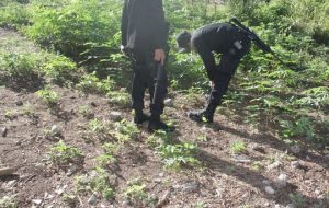 police officer with m4 riffle checking something on the ground_preview